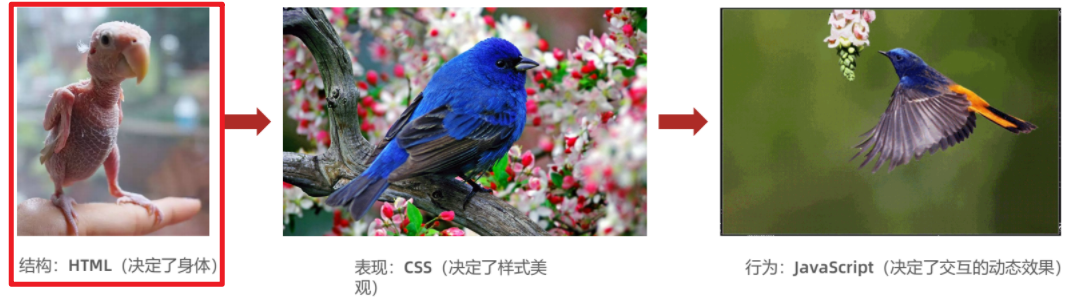 image-20210810142300353